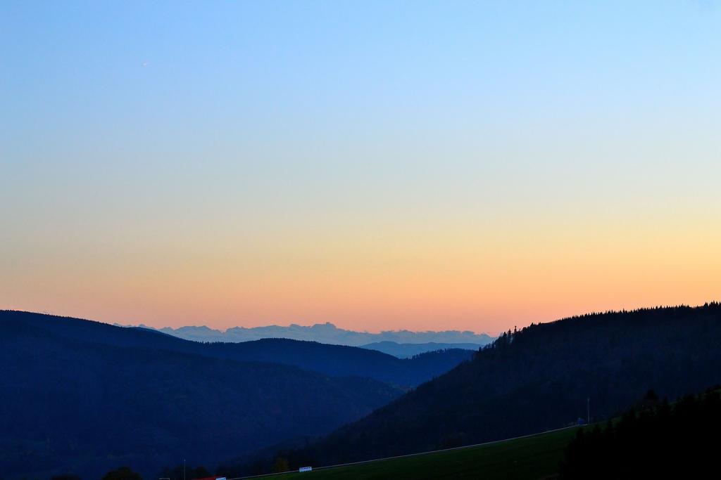 Arnica Hotel Todtnauberg Kültér fotó