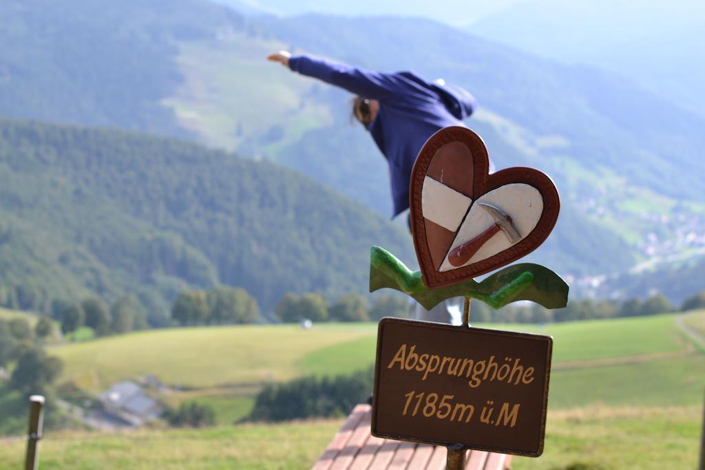 Arnica Hotel Todtnauberg Kültér fotó